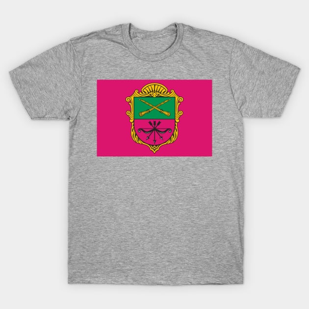 Flag of Zaporizhzhia Ukraine T-Shirt by brigadeiro